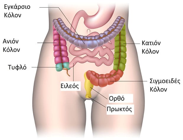 Λαπαροσκοπική δεξιά κολεκτομή στον καρκίνο του τυφλού: σύγχρονη προσέγγιση