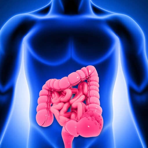 Επιβίωση στον καρκίνο παχέος εντέρου και ορθού