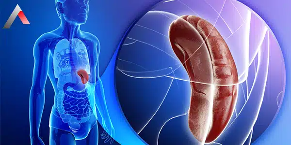 spleensurgerysplenectomy Γεώργιος Σάμπαλης Χειρουργικές Παθήσεις Σπληνός