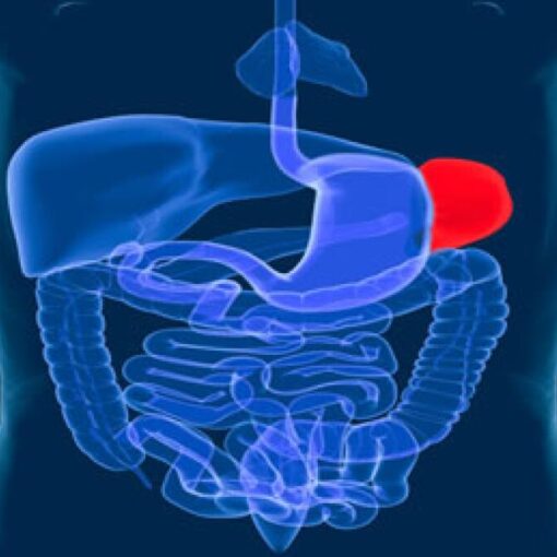 Μετά τη σπληνεκτομή